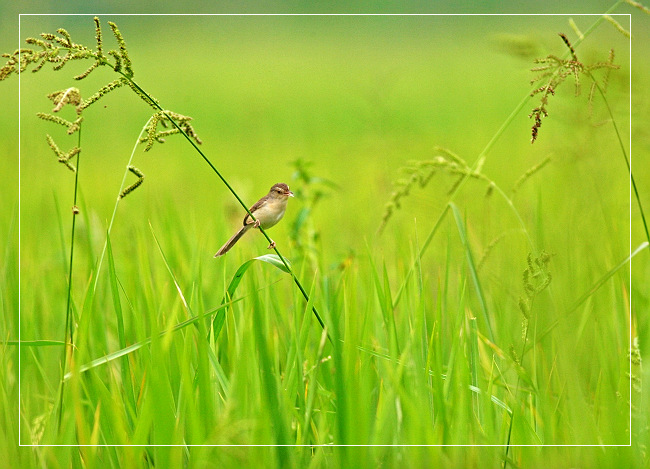 bk_58cdad280a5dc0a239035f7689d95d47_mZn729.jpg bk_58cdad280a5dc0a239035f7689d95d47_mZn729.jpg